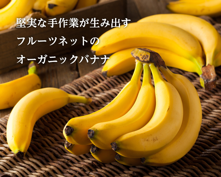 堅実な手作業が生み出す
フルーツネットのオーガニックバナナ